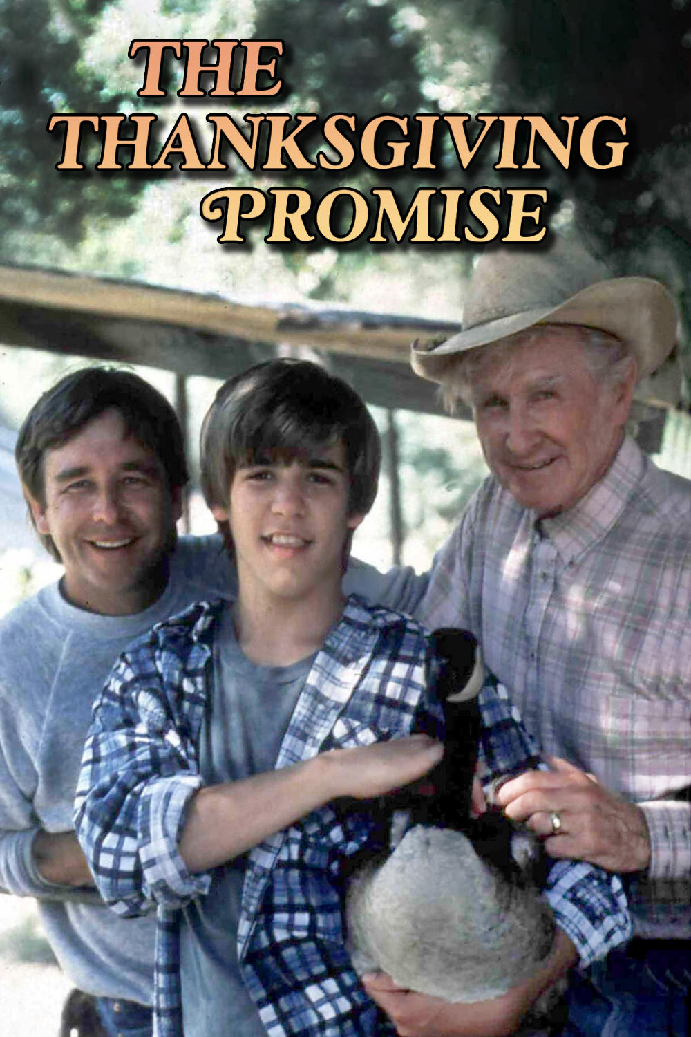 Постер The Thanksgiving Promise